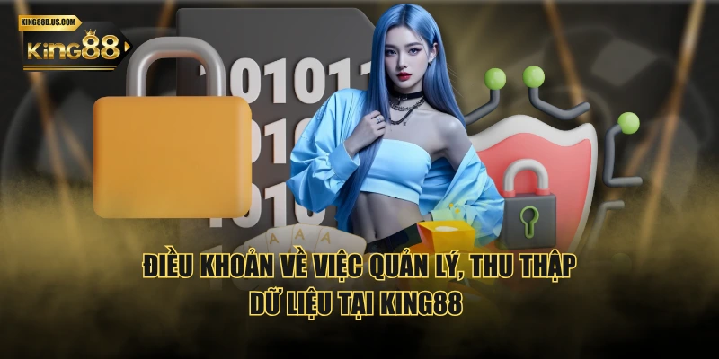 Điều khoản về việc quản lý, thu thập dữ liệu tại KING88